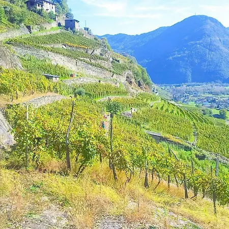 Appartement Culla Alpina 3°piano Teglio